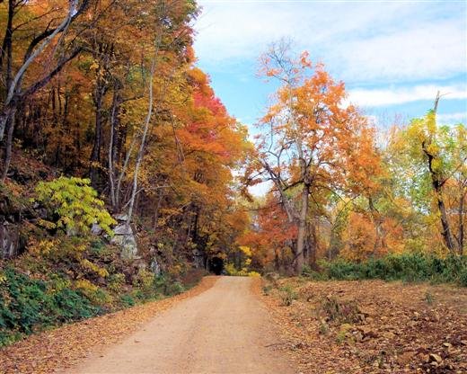 autumn2.jpg
