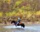 crossingtheriver_small.jpg