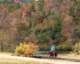 ridingalongtheriver_small.jpg