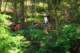 hikers_small.jpg