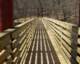 newfootbridgeoverleecreek_small.jpg