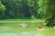 paddleboats2_small.jpg