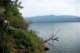 alongtheozarkhighlandstrail10_small.jpg