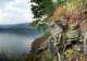 alongtheozarkhighlandstrail11_small.jpg