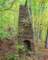 alongtheozarkhighlandstrail13_small.jpg
