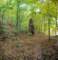 alongtheozarkhighlandstrail14_small.jpg