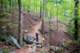 alongtheozarkhighlandstrail5_small.jpg