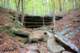 alongtheozarkhighlandstrail7_small.jpg