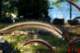 autumngrasses_small.jpg