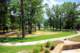 landscapingbetweennewvisitorcenterandlakejuly_small.jpg