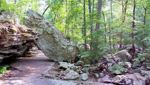cedarcreektrailpetitjeanstateparkarkansas5.jpg