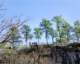 cedarfallsoverlookpetitjeanstateparkarkansas_small.jpg