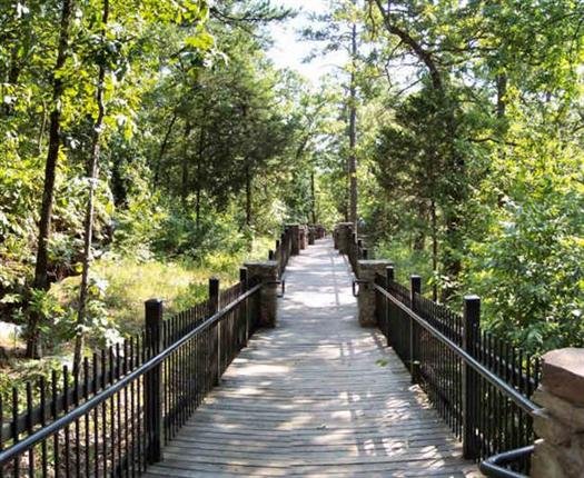 cedarfallsoverlooktrailpetitjeanstateparkarkansas2.jpg