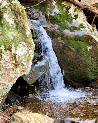 cedarfallstrailpetitjeanstateparkarkansas4.jpg