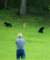 bearinthesmokymountains_small.jpg