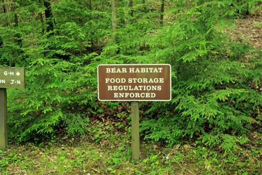 bearwarning.jpg
