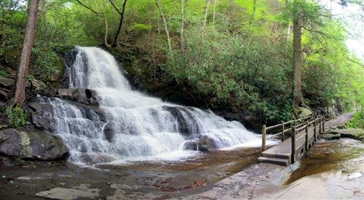 laurelfalls3.jpg