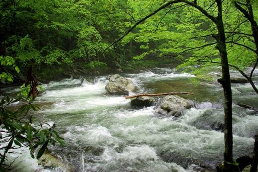 littleriver.jpg