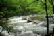 littleriver_small.jpg
