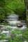littleriveratelkmontcampground_small.jpg