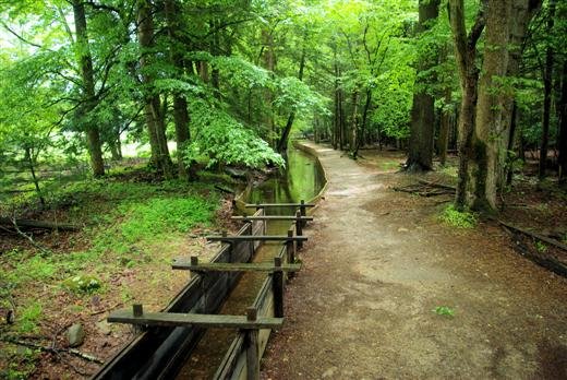 millraceandflume.jpg