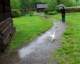 mountainfarmmuseumcat_small.jpg