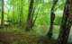 oconalufteeriver_small.jpg