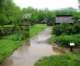 rainydayatmountainfarmmuseum_small.jpg