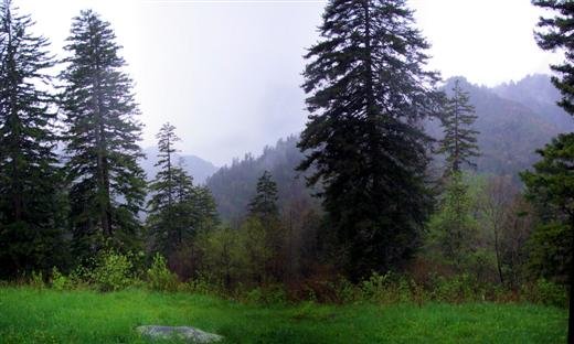 rainydaydrive.jpg