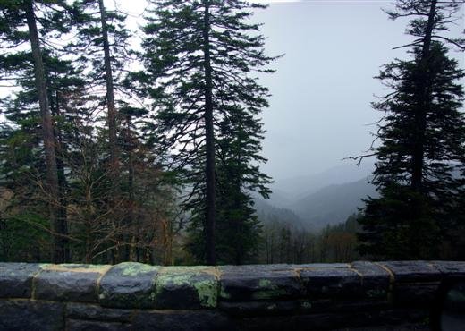 rainydaydrive2.jpg