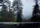 rainydaydrive2_small.jpg