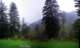 rainydaydrive_small.jpg