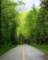 spurroadnexttoelkmontcampground_small.jpg