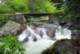 thesinks_small.jpg