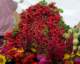 september13200811_small.jpg