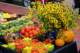 september13200818_small.jpg