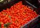 september13200821_small.jpg