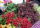 september13200824_small.jpg