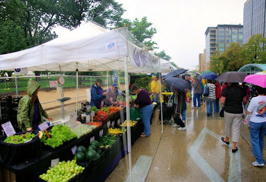 september1320084.jpg