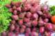september13200840_small.jpg
