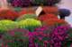 september13200845_small.jpg