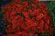 september13200846_small.jpg