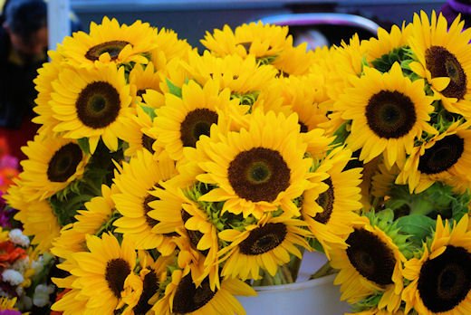 september13200849.jpg