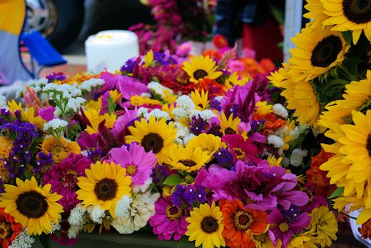 september13200850.jpg