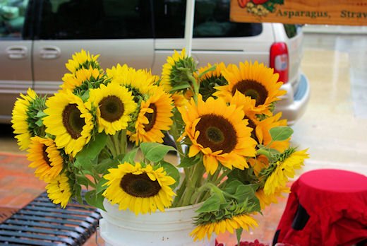 september13200852.jpg