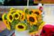 september13200852_small.jpg
