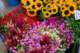 september13200854_small.jpg