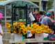 september132008_small.jpg