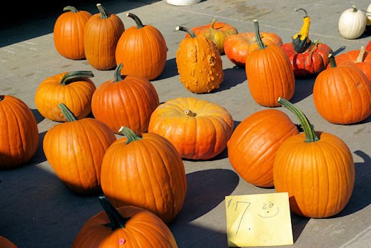 september202008.jpg