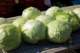 september20200810_small.jpg